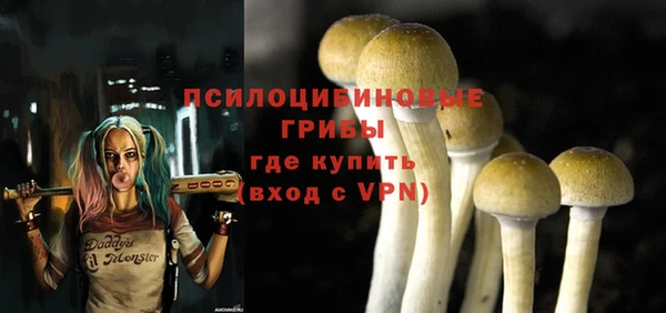 не бодяженный Алексин