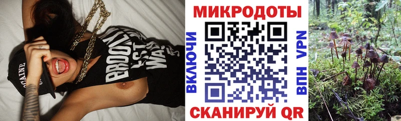 это какой сайт  Отрадное  Псилоцибиновые грибы мицелий 